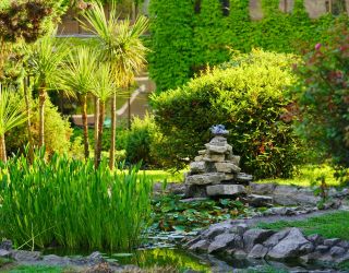 Пансионат "Изумруд" Сочи