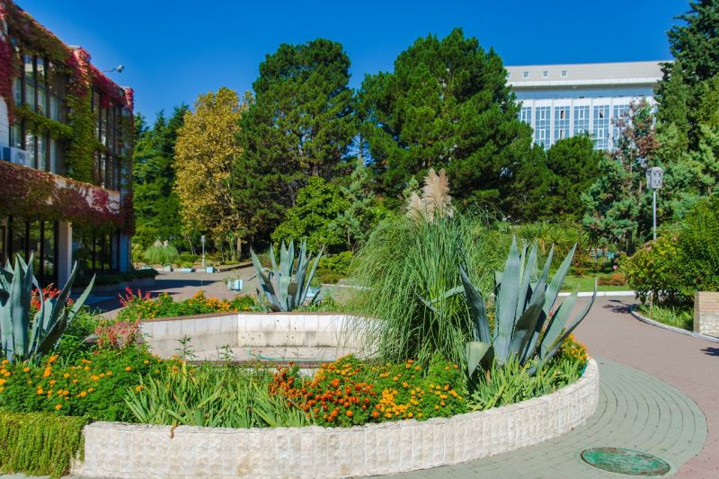 Пансионат "Изумруд" Сочи